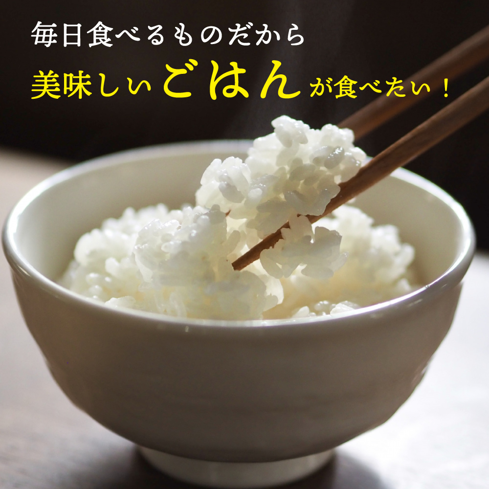 【セット販売】【無洗米】 令和7年産 北海道産...の詳細画像4