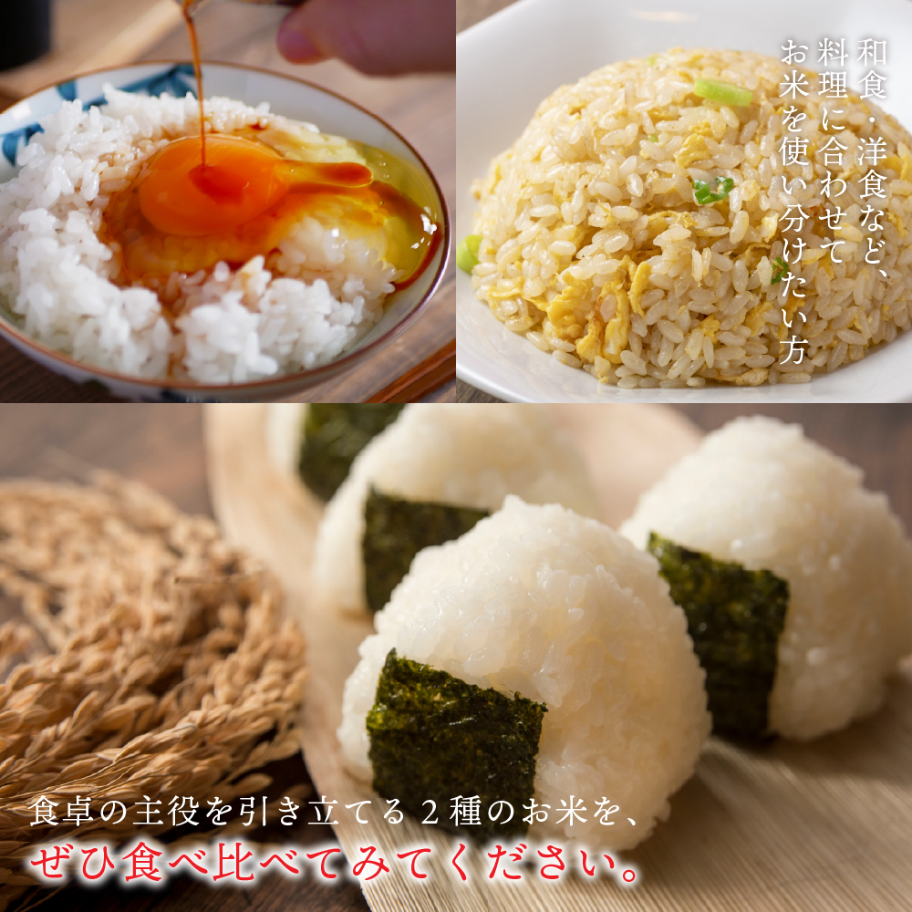 あきたこまち 5kg（コシヒカリ／食品）のおすすめ人気商品一覧