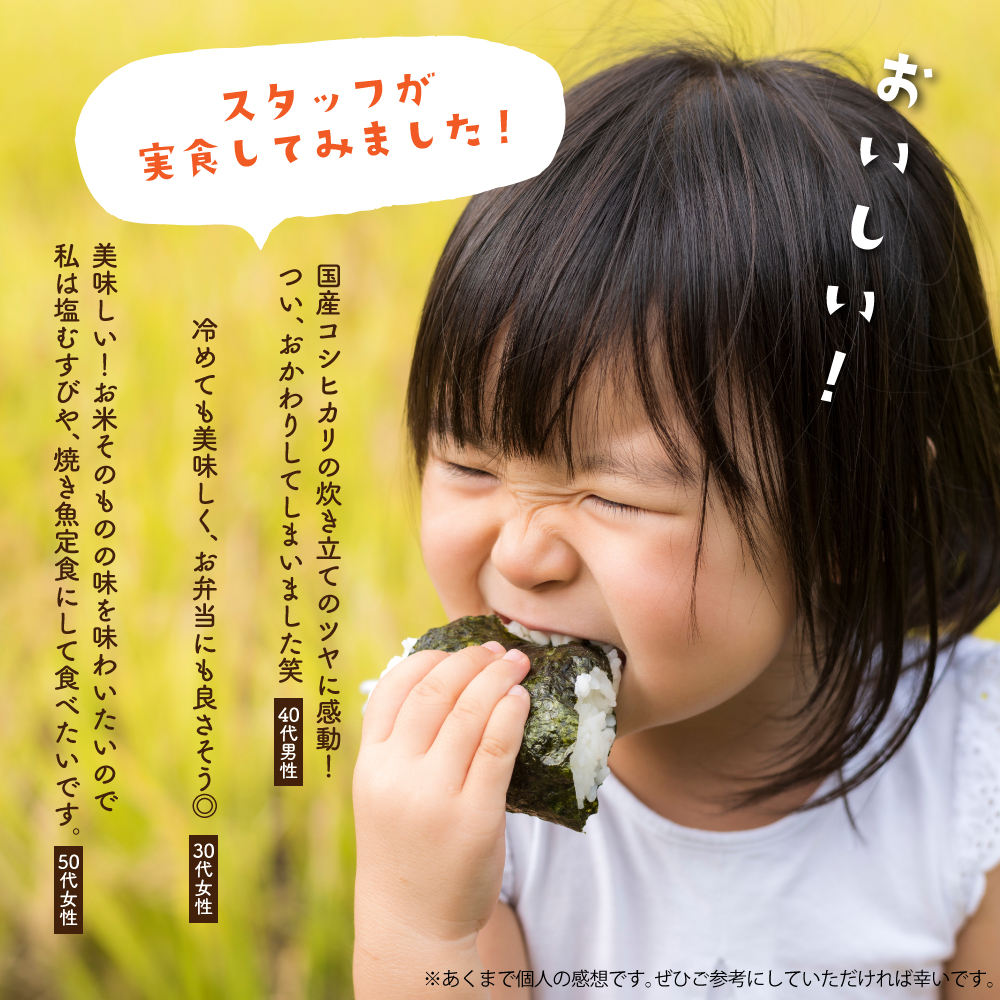 白米】 令和7年産 三重県産 コシヒカリ 20kg(5kg×4袋) 国産 こしひかり