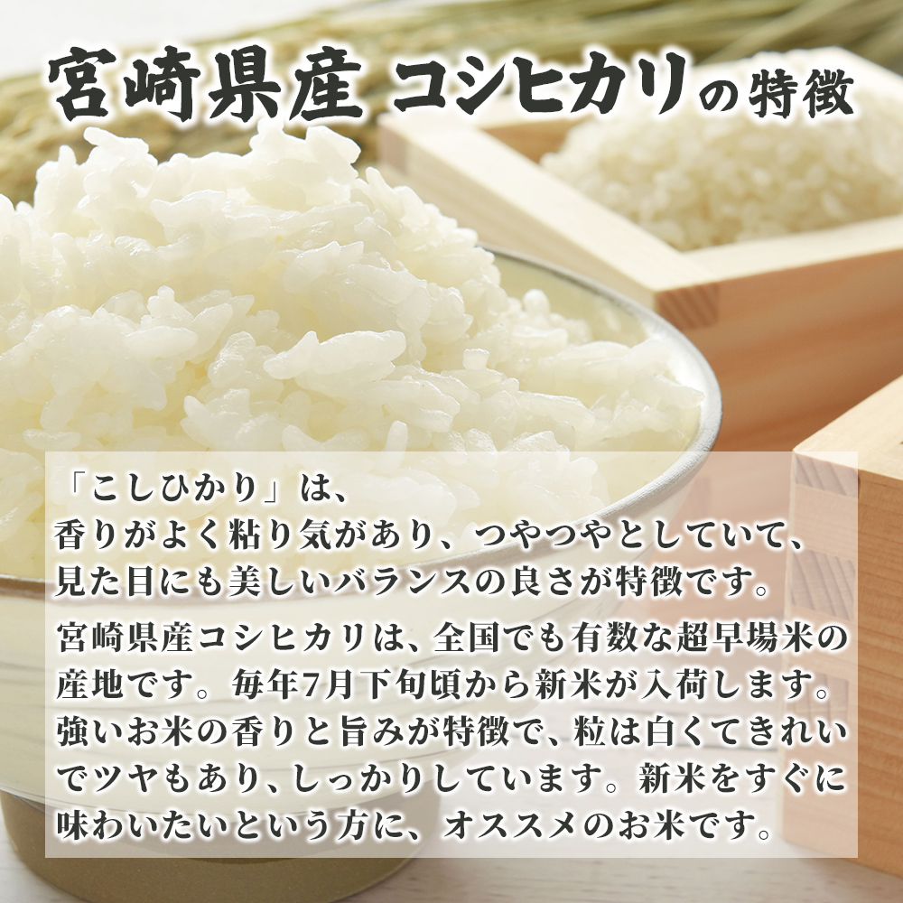 白米】新米 令和4年産 宮崎県産 コシヒカリ 10kg(5kg×2袋) 単一