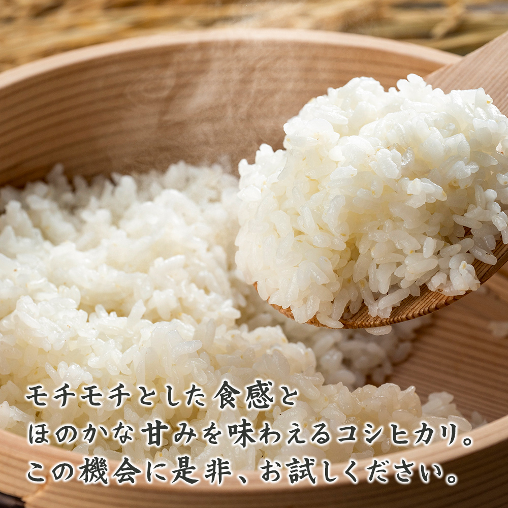 新米！令和4年産！ブレンド米25kg!! 白米】新米 令和4年産 宮崎県産 コシヒカリ 10kg(5kg×2袋) 単一