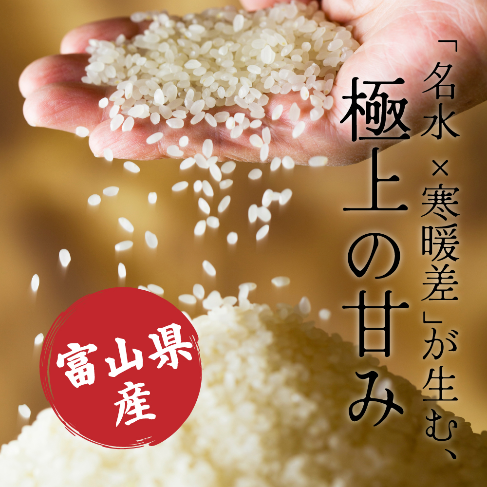 セール 【白米】 令和7年産 富山県産 コシヒカリ 10kg(5kg×2袋) 国産