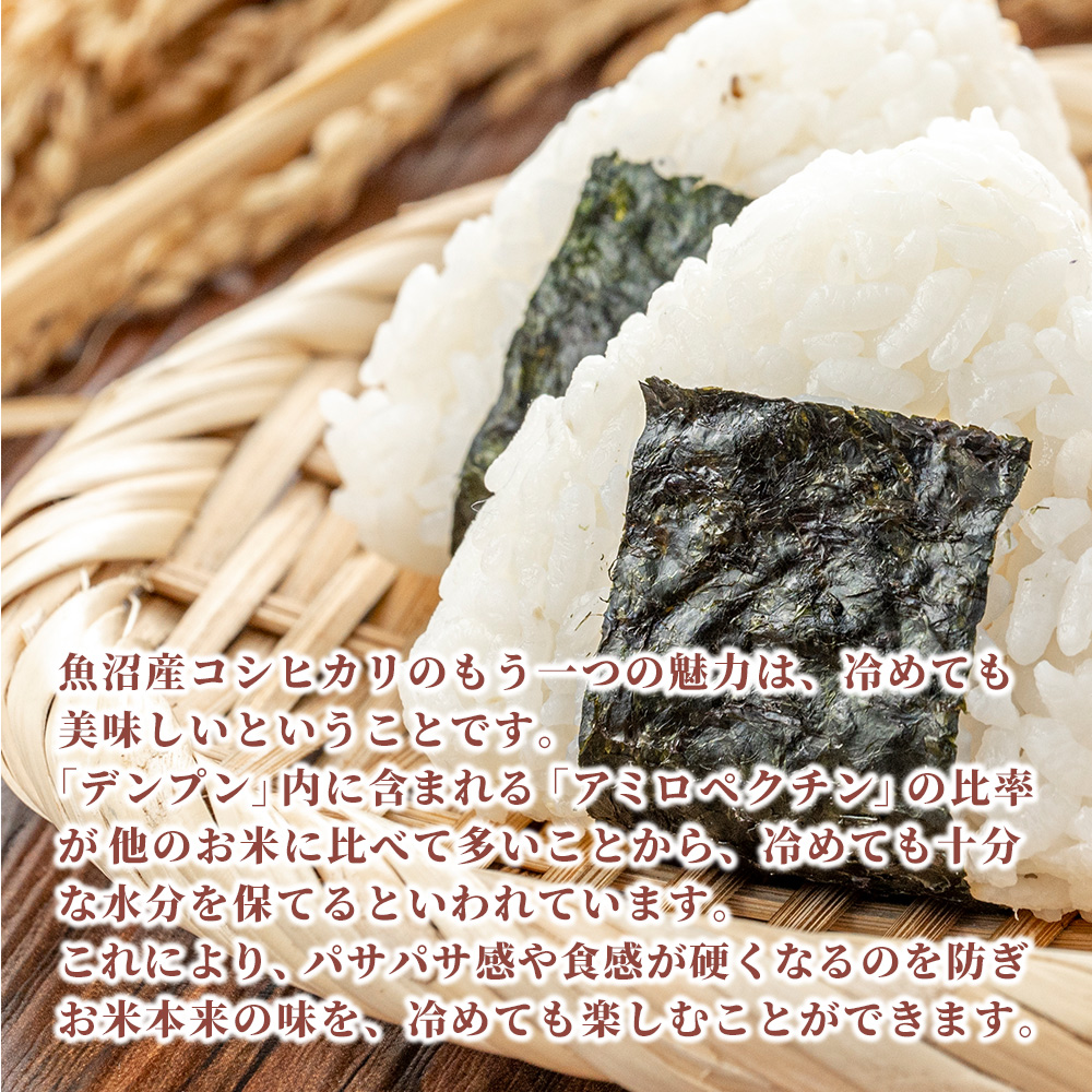 令和6年 魚沼産コシヒカリ10kg (5kg×2袋)白米 令和6年産】田中米穀 魚沼産コシヒカリ 10kg(5kg×2袋)｜うさ
