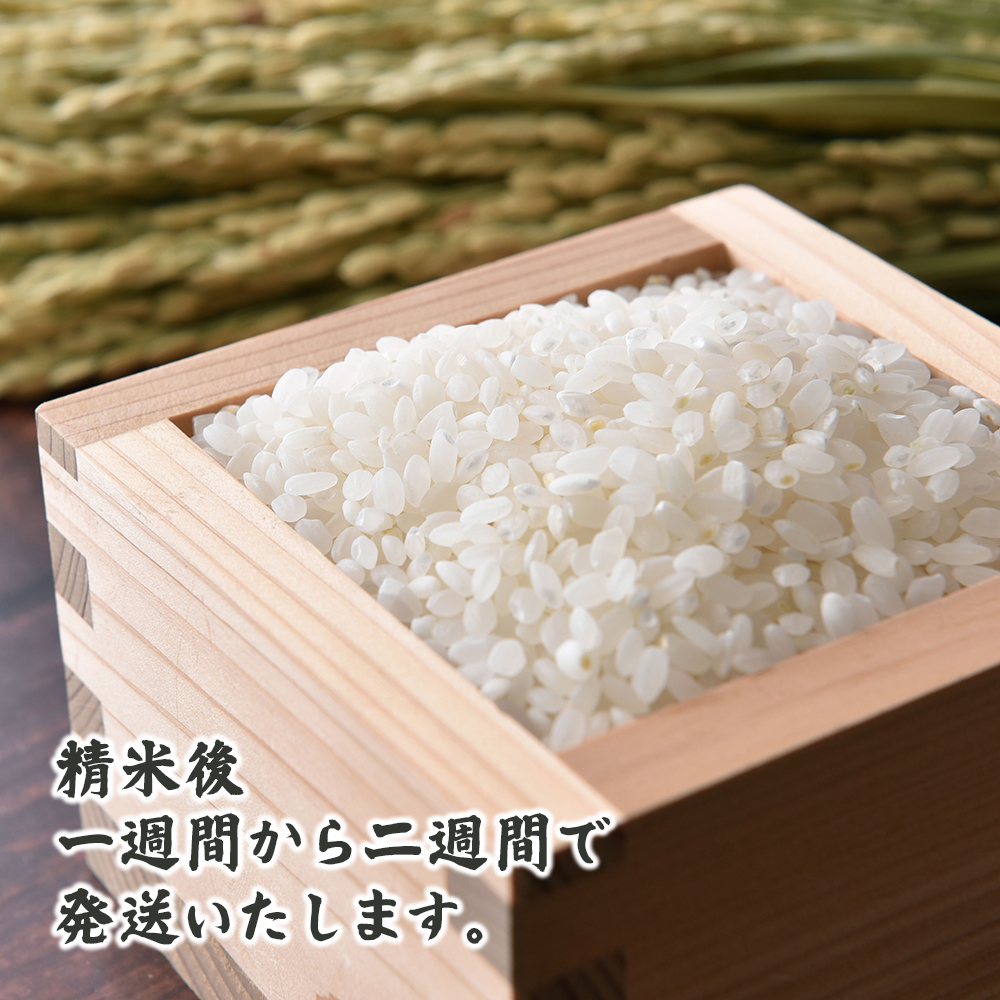 uonuma-kosihikar_lp_06.jpg