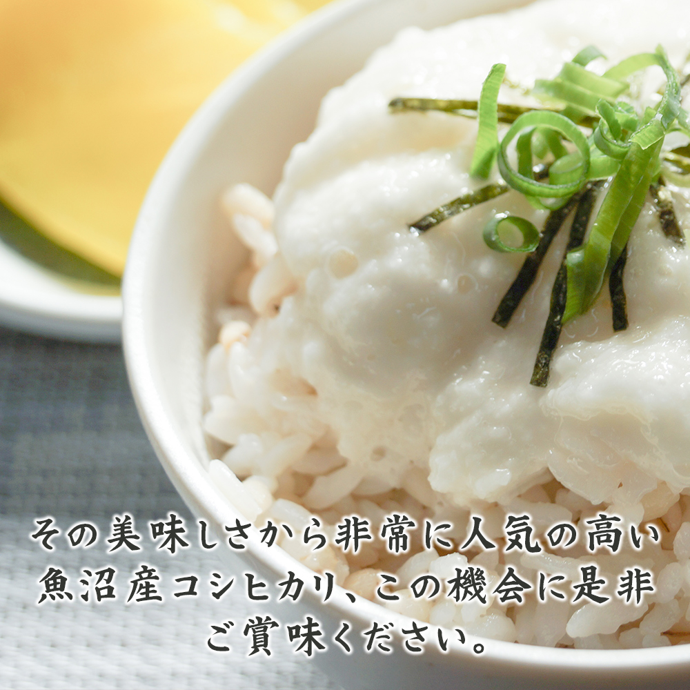 白米】令和6年産 魚沼産 コシヒカリ 60kg(5kg×12袋) 国産 新潟県産