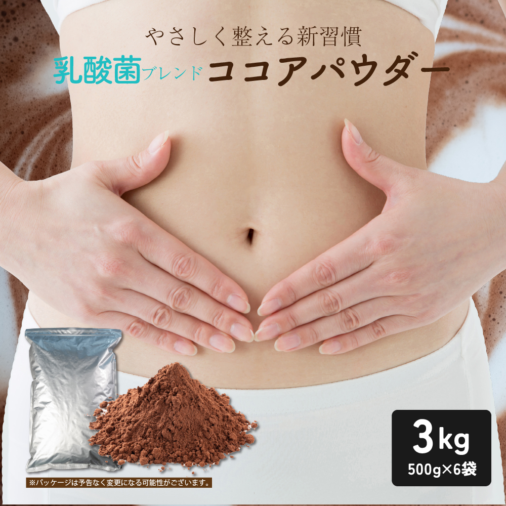 セール 乳酸菌ブレンド ココアパウダー 3kg(500g×6袋) 送料無料 腸活