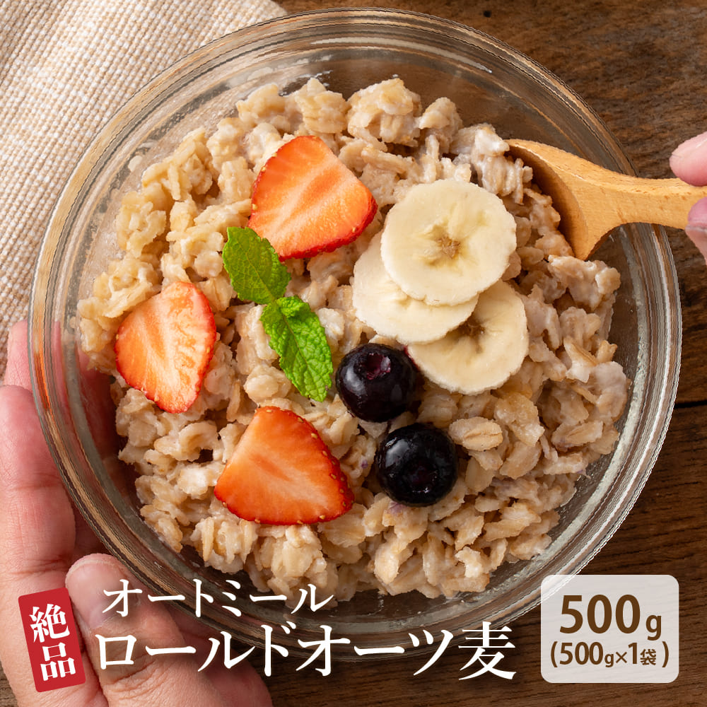 セール オートミール 500g 無添加 [ 送料無料 お試し オーツ麦 燕麦