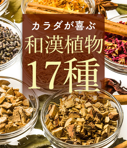 からだが喜ぶ和漢植物17種 上海康茶 送料無料 健康茶 お通じ系 ダイエットティー