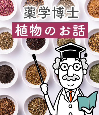 薬学博士の植物のお話 上海康茶 送料無料 健康茶 お通じ系 ダイエットティー
