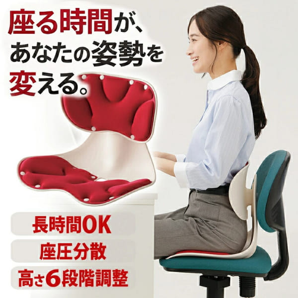 腰にピタッと美姿勢チェア 姿勢矯正 座椅子 デスクワーク 姿勢 腰の