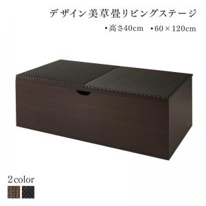 リビング収納 チェスト キャビネット タンス テレビ台  国産  収納付きデザイン 美草畳リビングステージ 畳ボックス収納 120×60cm ハイタイプ