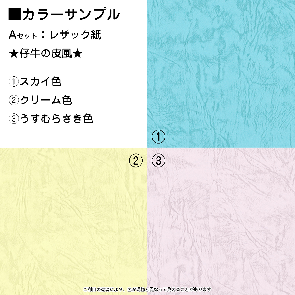 カラーペーパー ミニメッセージカード 色上質紙 レザック紙 名刺