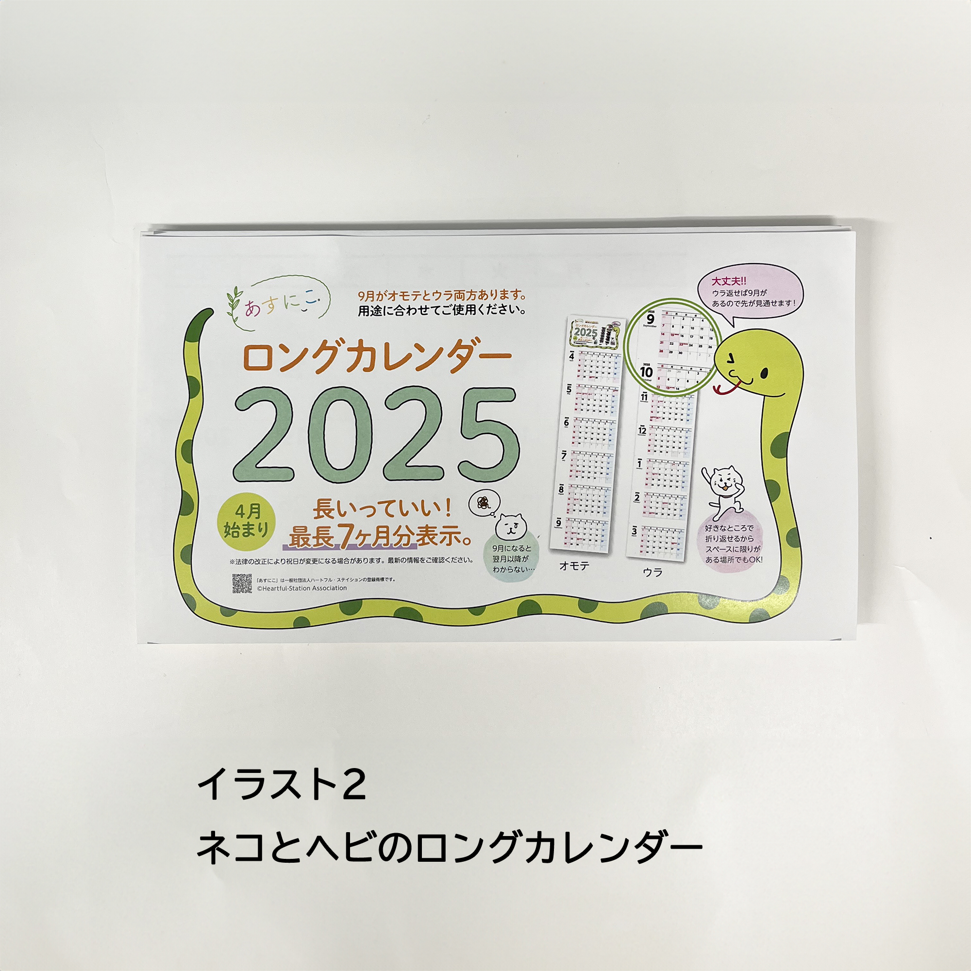 Amazon.co.jp: Emily Ratajkowski カレンダー2022年から2025年4