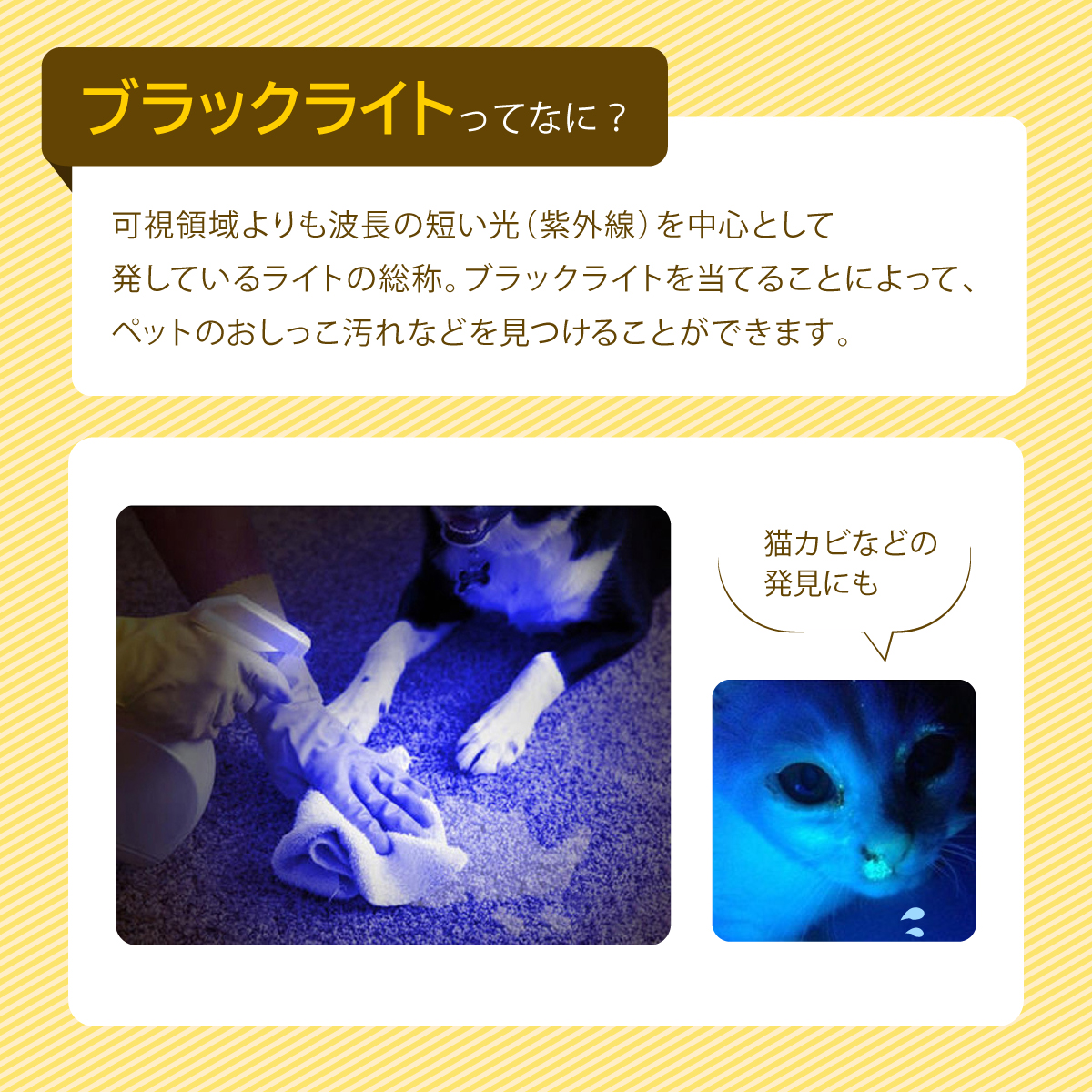 LEDポインター