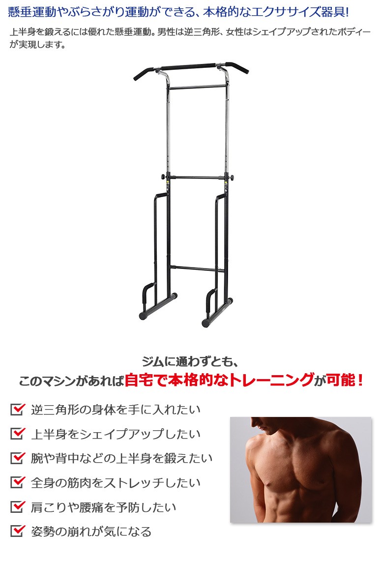 ALINCO/アルインコ 懸垂マシン ぶら下がり健康器 EX900T