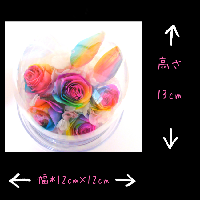 サウンドアレンジ 【楽天ランキング1位】ケース入りレインボー