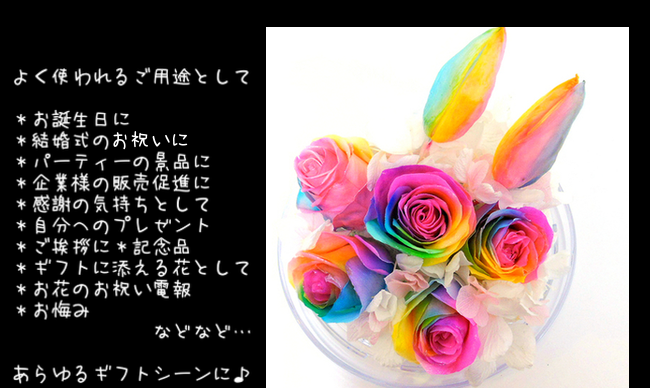 サウンドアレンジ 【楽天ランキング1位】ケース入りレインボー