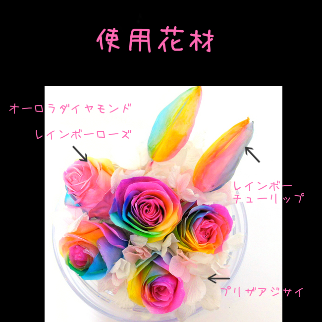 サウンドアレンジ 【楽天ランキング1位】ケース入りレインボー