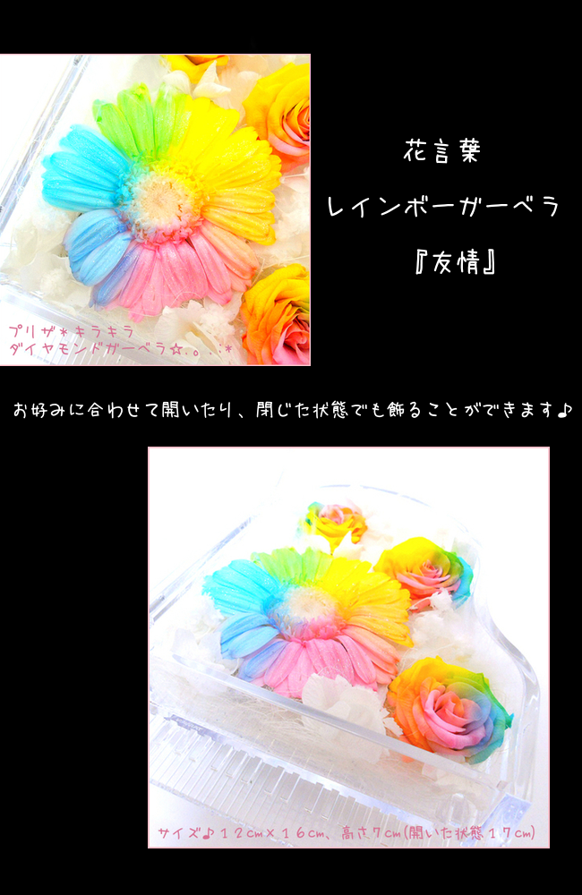 GROUND（グラウンド） 【高級プリザーブドフラワー】ケース入り