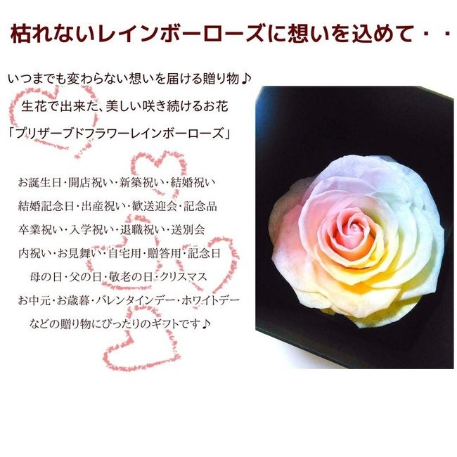 サウンドアレンジ 【高級プリザーブドフラワー】大輪バラレインボー