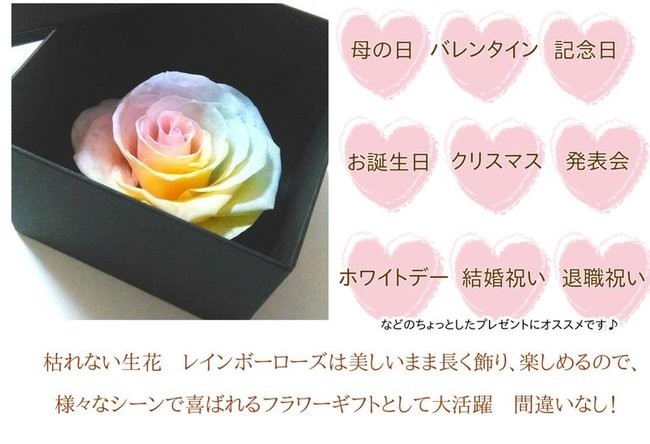 サウンドアレンジ 【高級プリザーブドフラワー】大輪バラレインボー