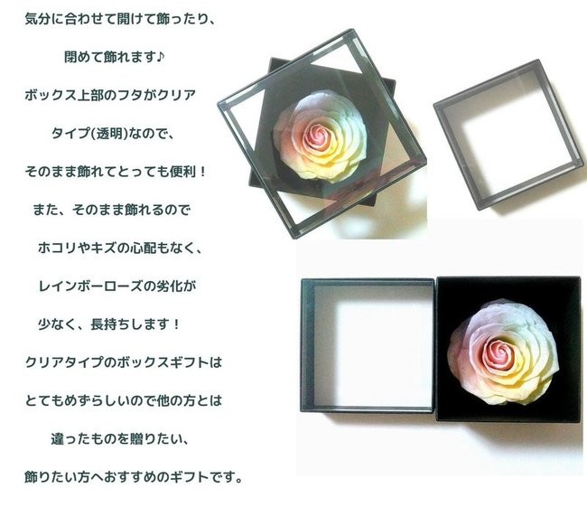 サウンドアレンジ 【高級プリザーブドフラワー】大輪バラレインボー