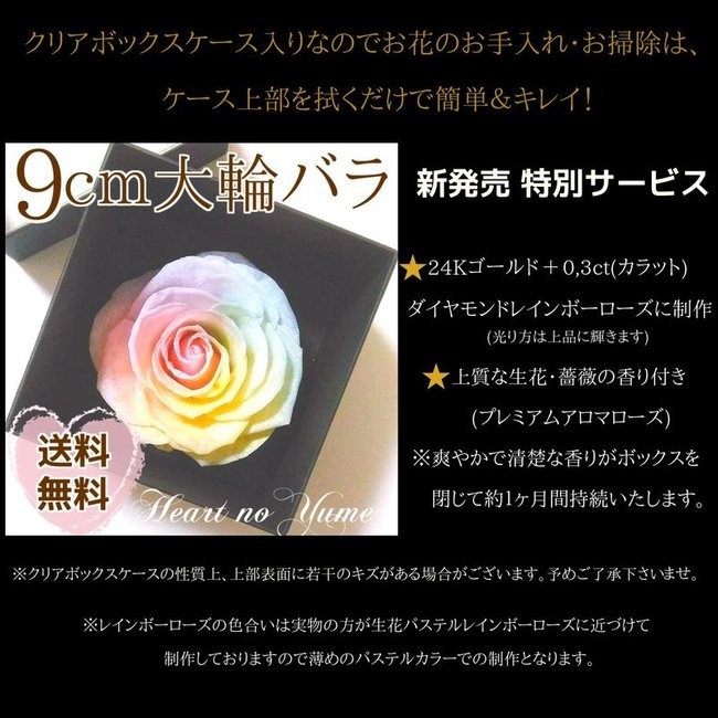 サウンドアレンジ 【高級プリザーブドフラワー】大輪バラレインボー