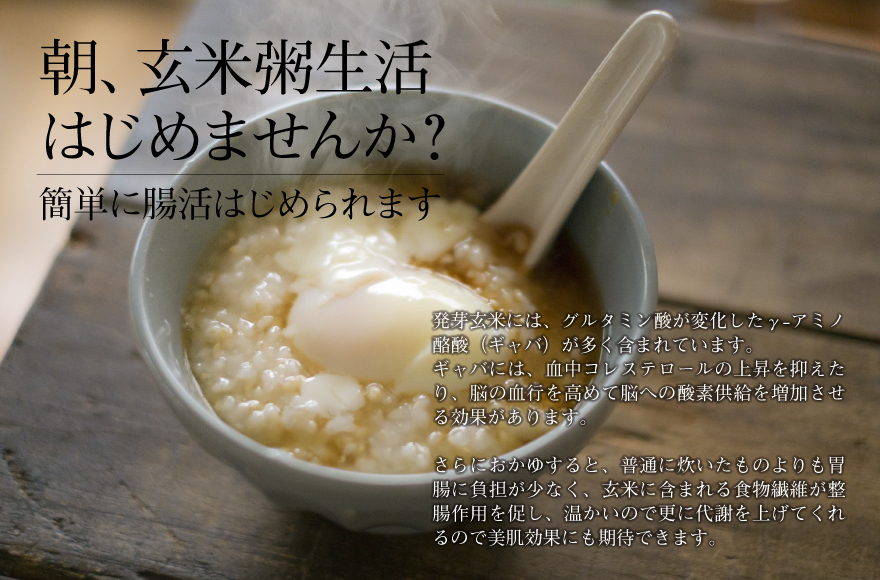 正規販売店】CUCKOO(クック) 玄米発芽炊飯器 発芽マイスター 正規販売店】CUCKOO(クック) 玄米発芽炊飯器 発芽マイスター