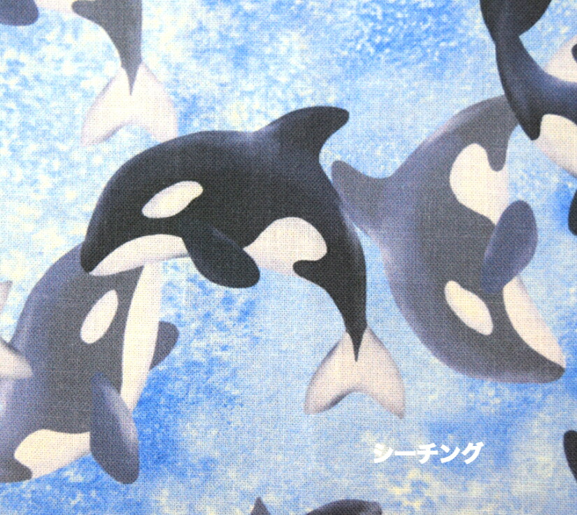 海の生物デザイン コイン JMSDF 海の生物デザイン コイン JMSDF