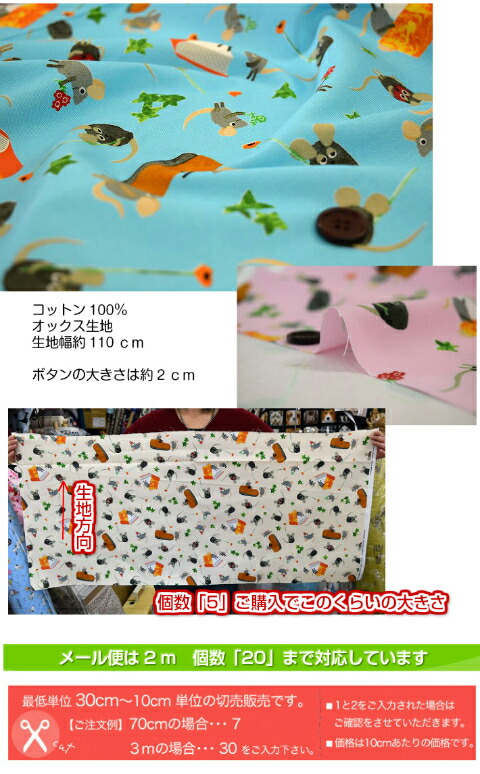 ストレッチドビー レオレオニ カメレオン ハンドメイド 入学 入園