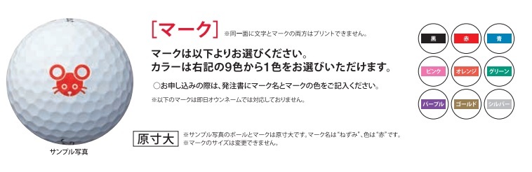 Titleist（タイトリスト） 【オウンネーム】タイトリスト PROV1/V1x