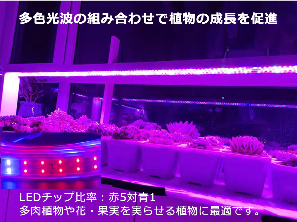 植物育成ライト LED 10m 二列式 180smd/1m 観葉植物育成ライト 植物育成ライト LEDテープライト 10m 二列式 180smd/1m 観葉植物育成