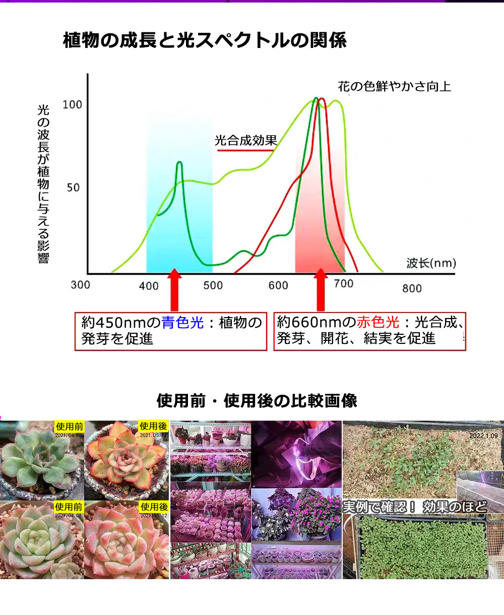 植物育成ライト LED 10m 二列式 180smd/1m 観葉植物育成ライト 植物育成ライト LEDテープライト 10m 二列式 180smd/1m 観葉植物育成