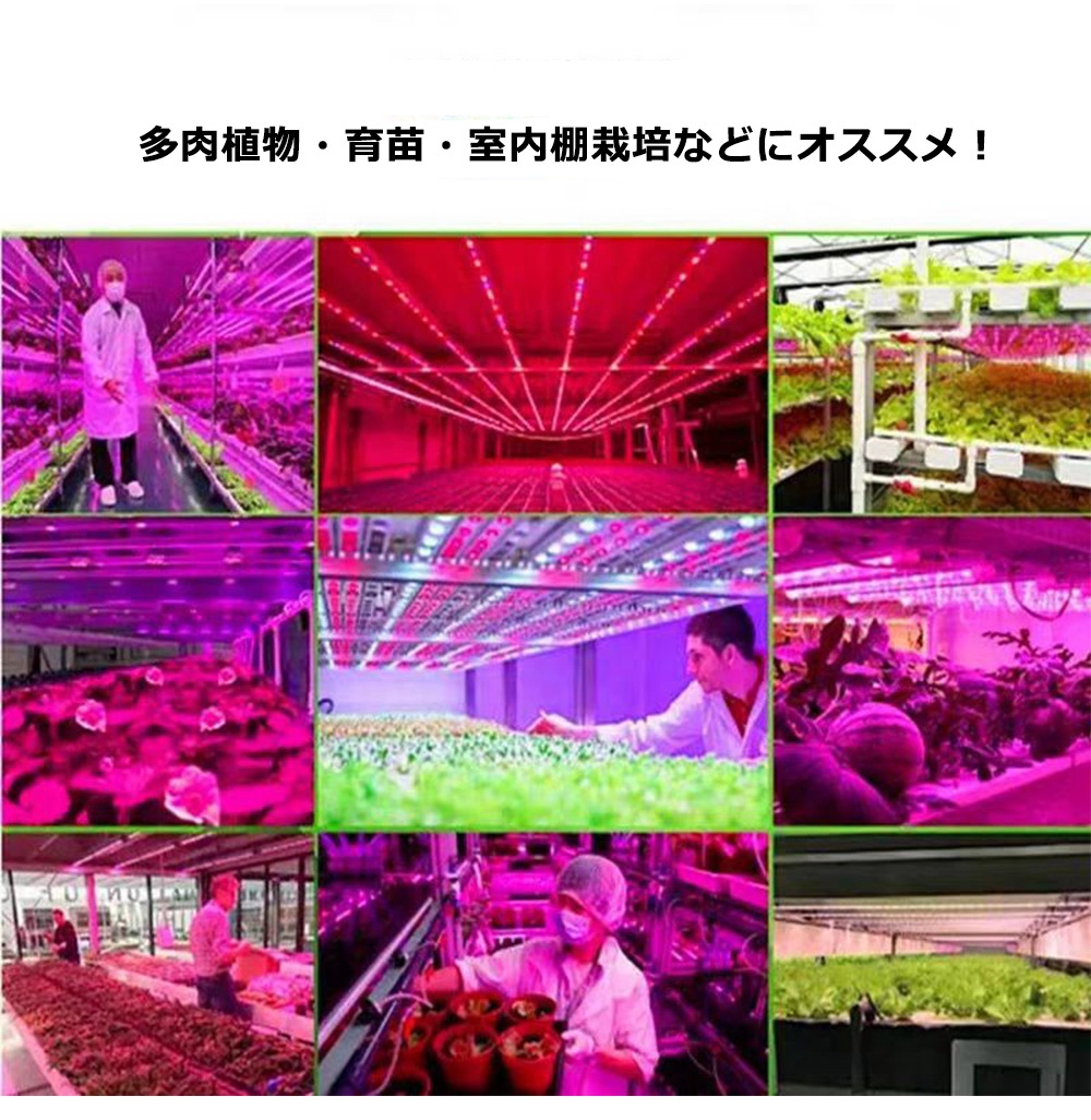 植物育成ライト LEDテープライト 30m 二列式 植物育成LED pse認証 観葉植物育成ライト トフルスペクトル 180smd/1m 赤と青 室内栽培ライト_7