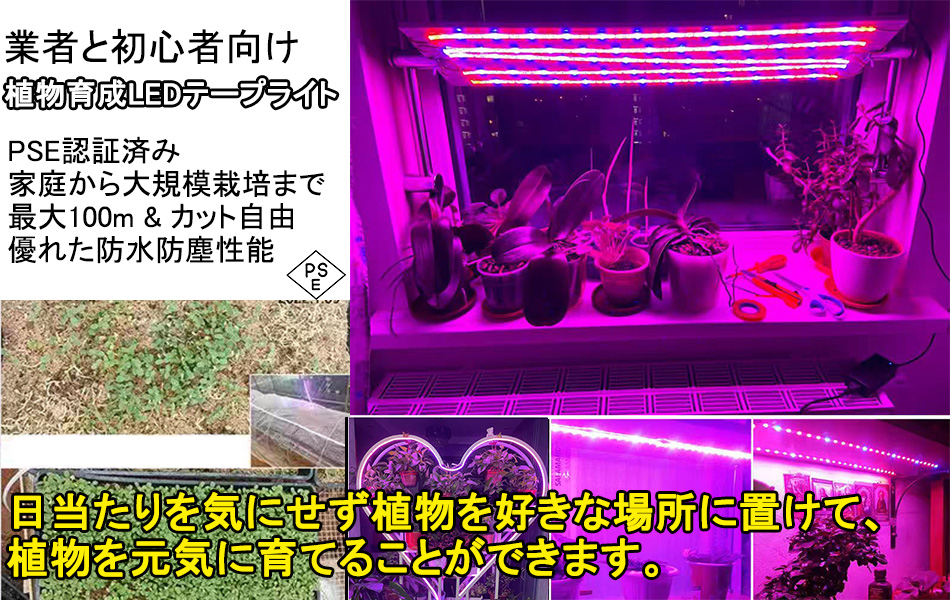 当店の家庭用 次世代ネオンled AC100V EL蛍光チューブ管 ledテープ