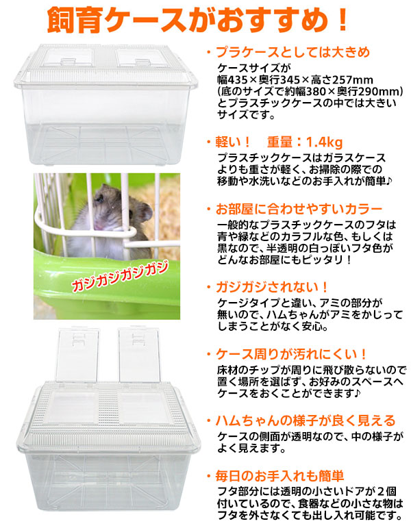 飼育ケース(特大) 幅43cm/プラケース ハウス 透明 クリア 大きめ