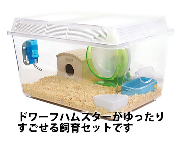 【3万円相当】ハムスター　飼育セット　お迎えセット ジャンガリアンハムスター飼育セット ゆったり/飼育ケース 飼育