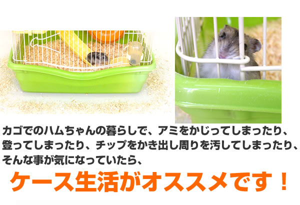 【3万円相当】ハムスター　飼育セット　お迎えセット ジャンガリアンハムスター飼育セット ゆったり/飼育ケース 飼育