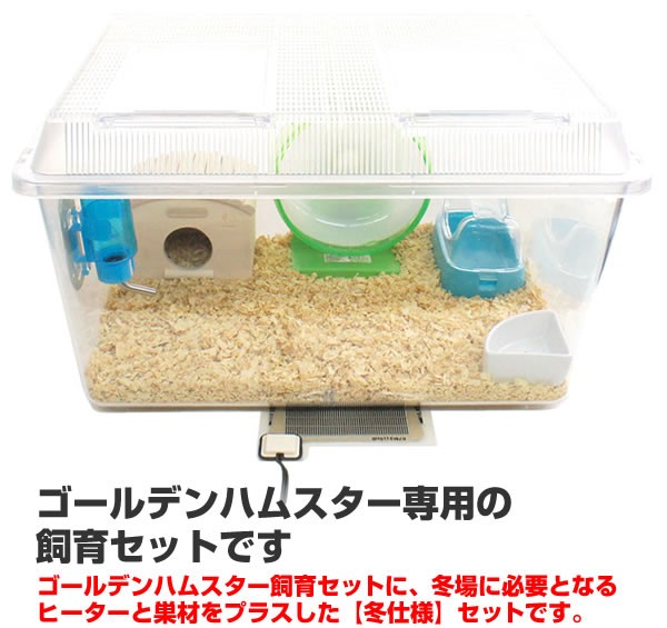 ゴールデンハムスター飼育セット【冬仕様】/飼育ケース 飼育ケージ