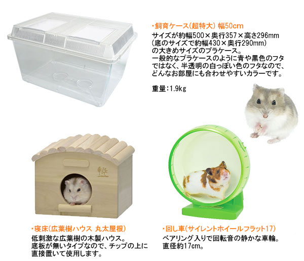 ジャンガリアンハムスター飼育セット ゆったり【冬仕様】/飼育ケース