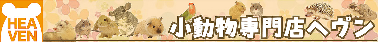 小動物専門店ヘヴン ヤフー店 ヘッダー画像