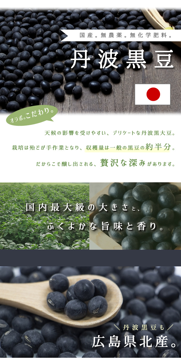 市場 丹波 無化学肥料 無農薬 煎り黒豆 150g