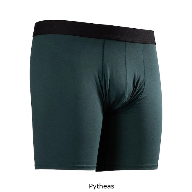 アークテリクス ARC'TERYX モータス SL ボクサー ショーツ