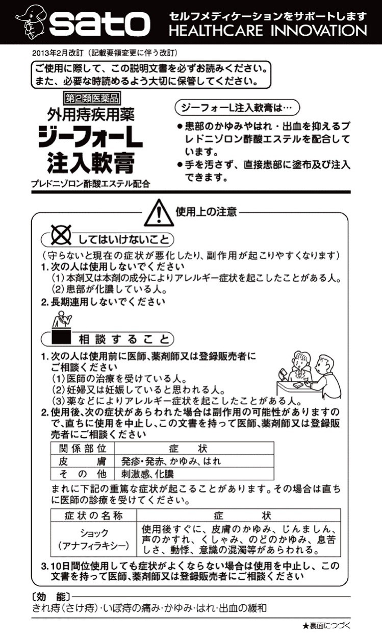 ジーフォーL注入軟膏　説明書　1