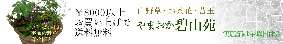 やまおか碧山苑ヤフー店 ヘッダー画像