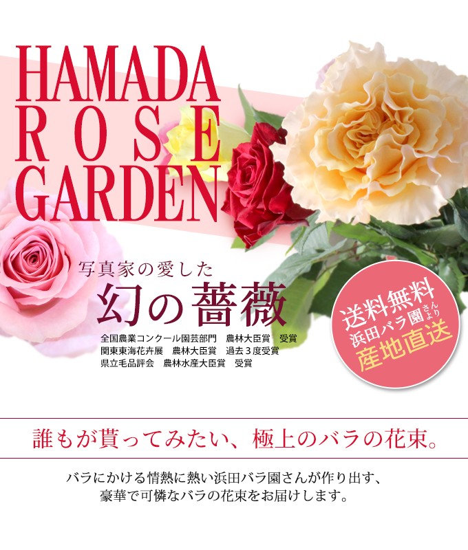 バラの花束 産地直送 浜田バラ園 幻のバラの花束 おまかせ5500円セット Hmd Rose 5000 町の小さな雑貨屋さんアポン Apoml 通販 Yahoo ショッピング