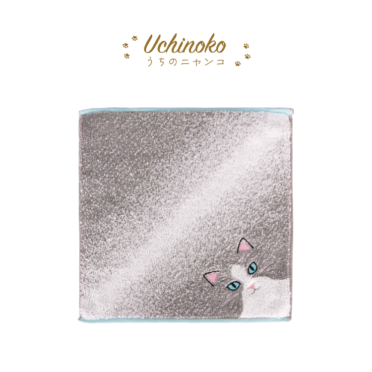 MAY　479★ハンカチ　いろんなHOUSEにゃんこ柄2/22　17枚 Amazon｜シマエナガ ハンカチ (EL) にゃんこ×シマエナガ 日和