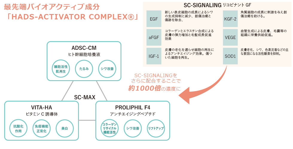 ディレイア フィックス リフト メソ クリーム 30g リフティング（たるみ解消）肌の老廃物を取り除き、脂肪細胞を小さくします 正規品 日本製  :Direia-Fix-Lift-Meso-Cream-30g:化粧品とネイルグッズ HelloBeauty - 通販 - Yahoo!ショッピング