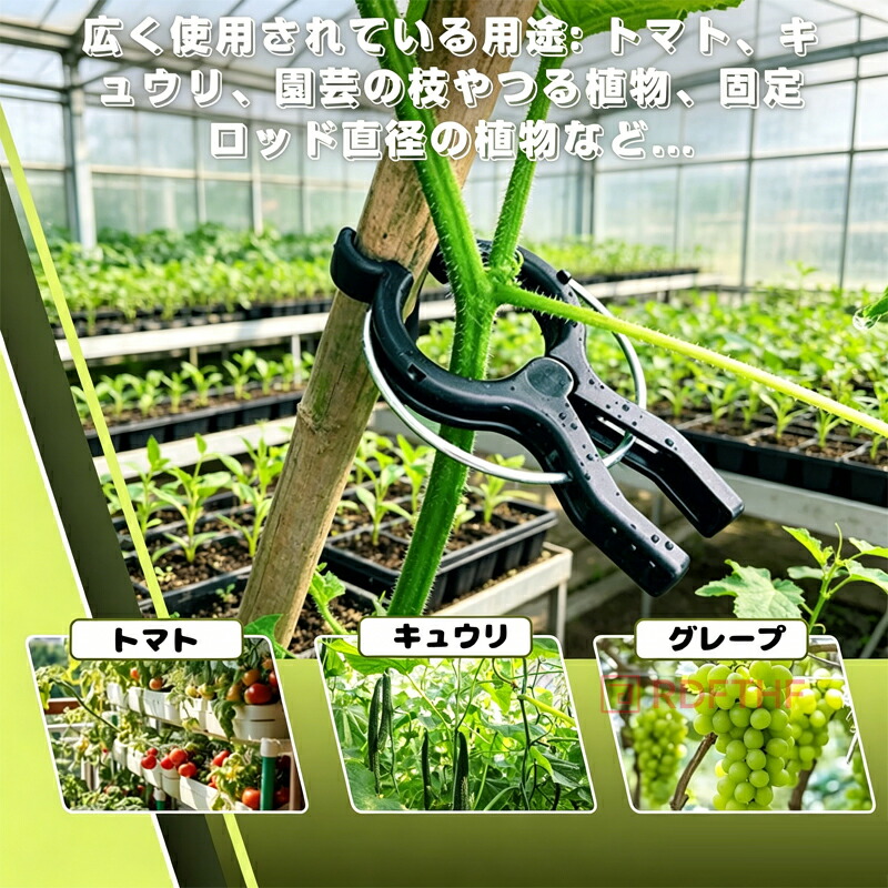 最終値引き！名器！mxg1 グリップ2　2本セット　バラ売り可 誘引クリップ 40個セット 園芸用 支柱固定 蔓 茎 枝 曲げ防止 接木