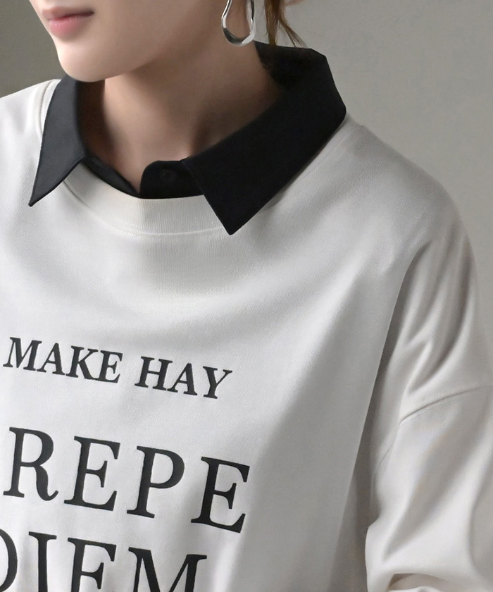 つけ襟 レイヤード シャツ 風 ブラウス レディース フリル 重ね着 チェック 無地 チェックシャツ 付け襟 襟 綿100％ ハイネック スタンドカラー ディッキー | HUG.U | 06